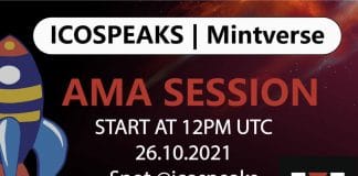 Mintverse at ICO