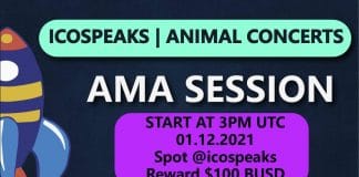 animal concerts ama at ico speaks