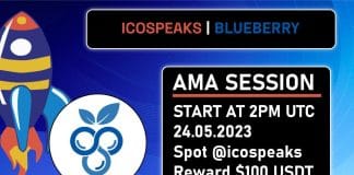 blueberry wallet ama