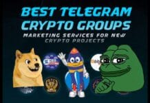 Crypto Signals Telegram Groups – Trump & Elon Dogecoin Promo crypto signals telegram groups